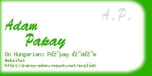 adam papay business card